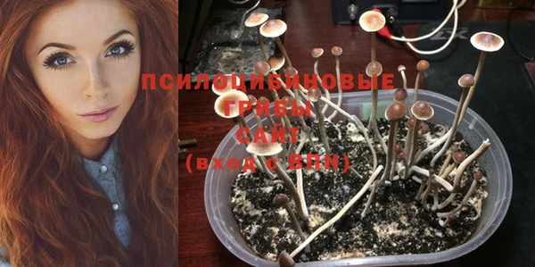 герыч Семилуки